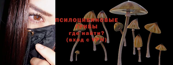 MDMA Кукмор