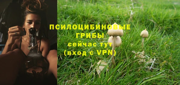 MDMA Кукмор