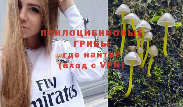 спиды Кулебаки